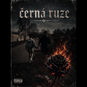 Černa růže