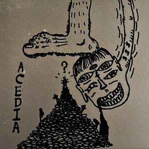 Insent living in my house