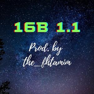 16B 1.1