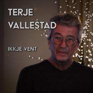 Ikkje vent