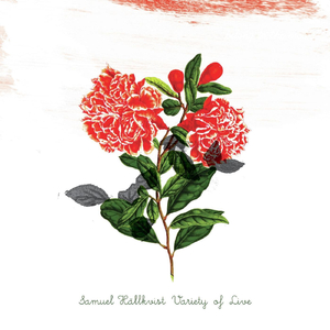 Music for the Maraca Triplet (feat. Guy Pratt, Pat Mastelotto, Stefan Pasborg, Yazz Ahmed & Qarin Wikström)