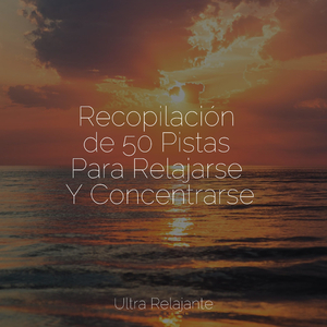 Anochecer En La Distancia