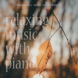 Relaxing Music with Piano