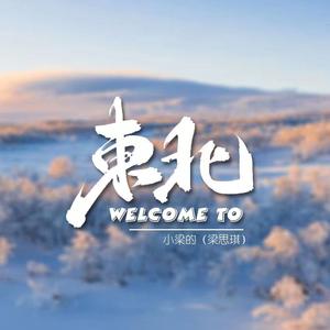 Welcome to东北 (DJ版)