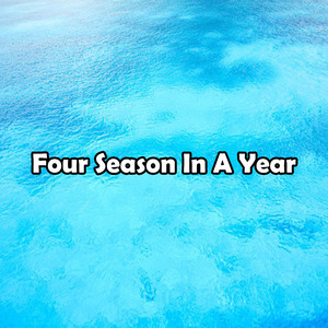 Four Season In A Year