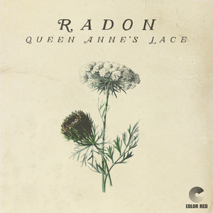 Queen Anne's Lace (Color Red Music)