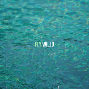 Fly
