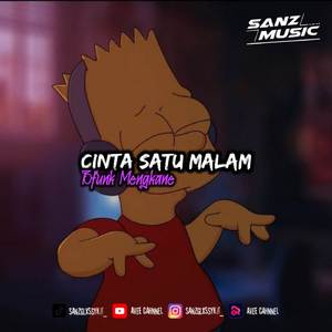 DJ Cinta Satu Malam