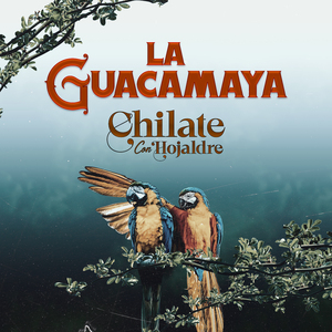 La Guacamaya