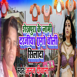 Sheikhpura Ke Nami Darajiya Ago Choli Silada