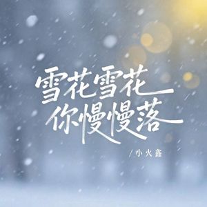雪花雪花你慢慢落（R&B版）
