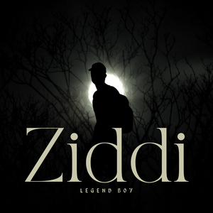Ziddi