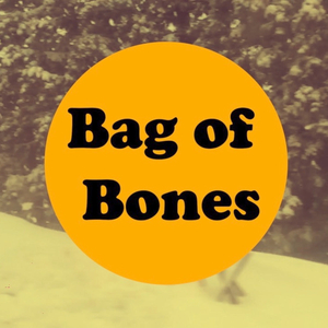 Bag of Bones