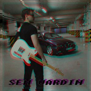 Sen Vardın