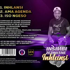 ISO NGESO