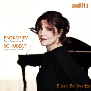 4 Impromptus, D. 899: No. 4 in A-Flat Major (Allegretto - Trio)