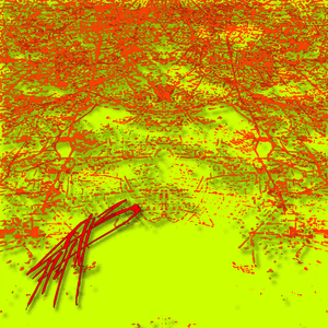 stf