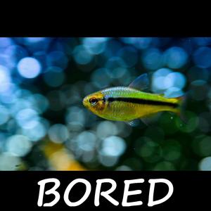 BORED