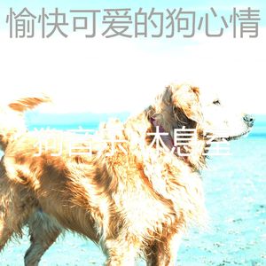 微妙的可爱的狗心情
