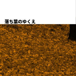 落ち葉のゆくえ