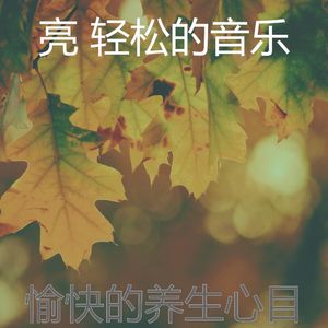 抚慰的松弛回忆