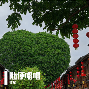 夜空中最亮的星.WAV