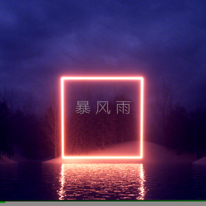 暴风雨 REMIX