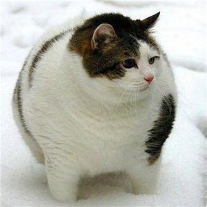 银河.