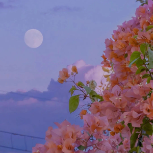 故事还长