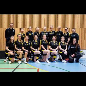 Damelaget Sandnes IBK