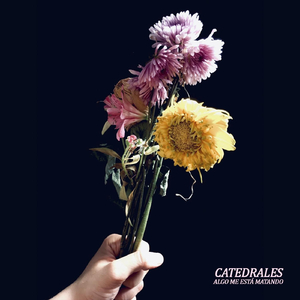 Algo Me Está Matando