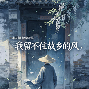 我留不住故乡的风