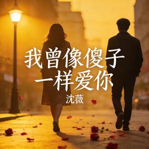 我曾像傻子一样爱你