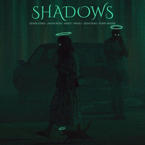 Seven Lions, Wooli, Amidy, Jason Ross, Blastoyz, Zeds Dead, Perry Wayne - Shadows (ELUSID Mashup)