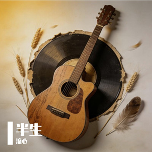 半生