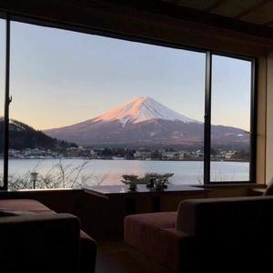 花、太阳、彩虹、你