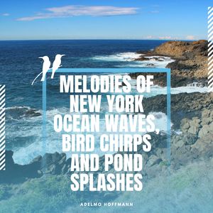 Soothing Large Pond New York