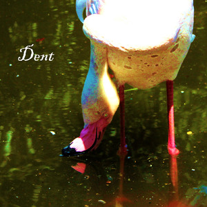 Dent