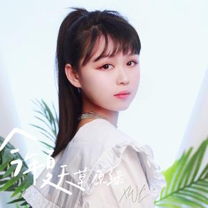 今年夏天草原绿