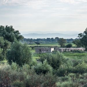 暮色草场（Twilight on the Grassland）