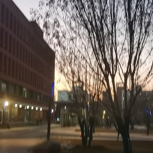 缘分不是一出门就能遇到的雨