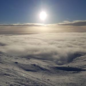 Slow Wild Blues (feat. Fredrik Tibblin)