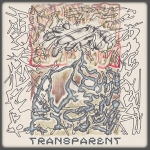 Transparent