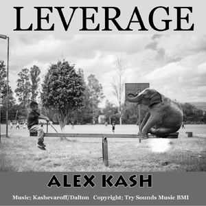 Leverage