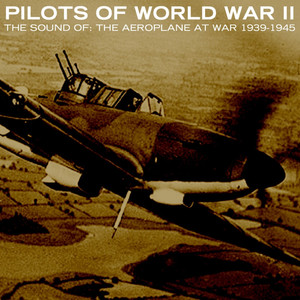 The Sound Of: The Aeroplanes At War 1939-1945: In Aid Of The Blitz