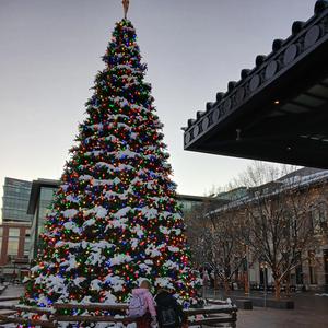 Mistletoe Magic (Christmas Special) (feat. Amy Steele)