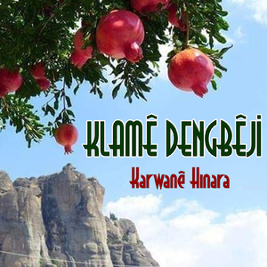 Daye Rebene