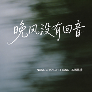 晚风没有回音（原版）