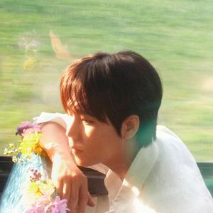 마치 오늘처럼