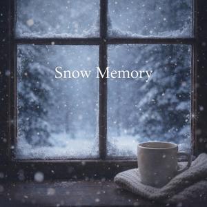 Snow Memory